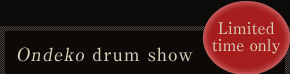 Ondeko drum show Limited time only
